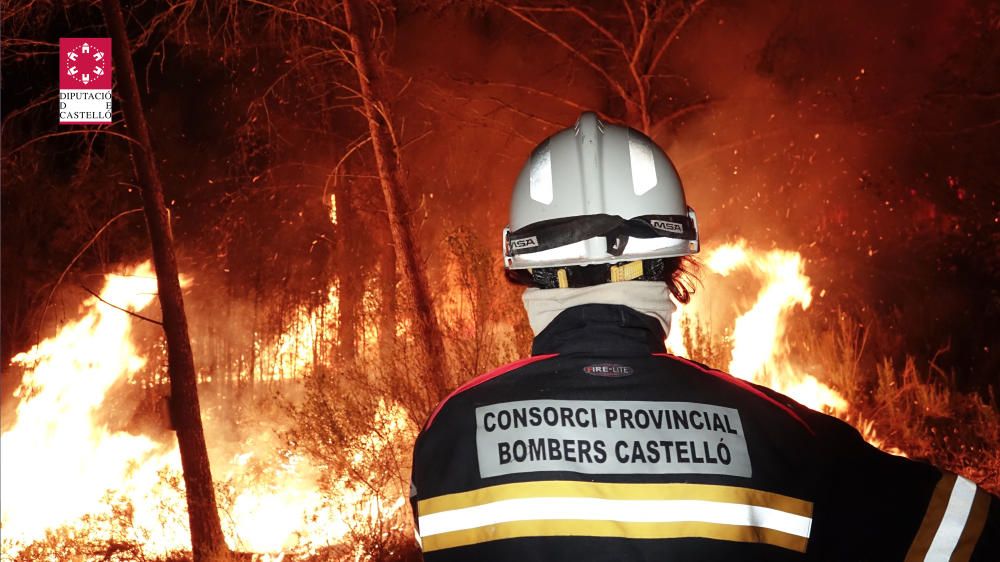 Incendio forestal en Artana