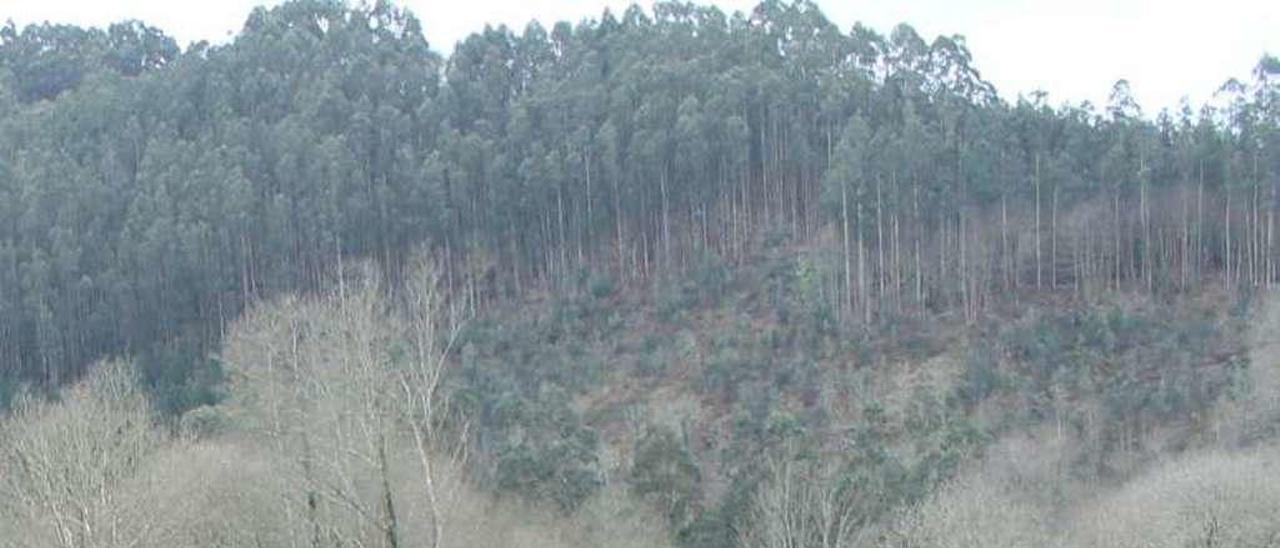 Zona donde se construirá la escollera.