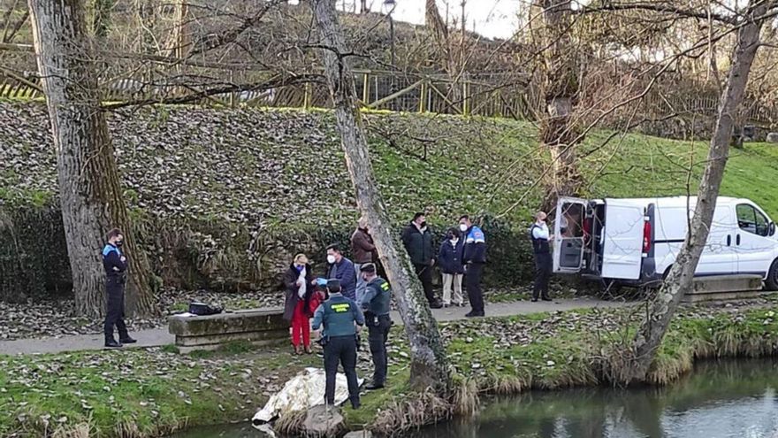 El hombre ahogado en el río Nora, un exfuncionario de Siero que solía pasear por la zona: "Es una tragedia"