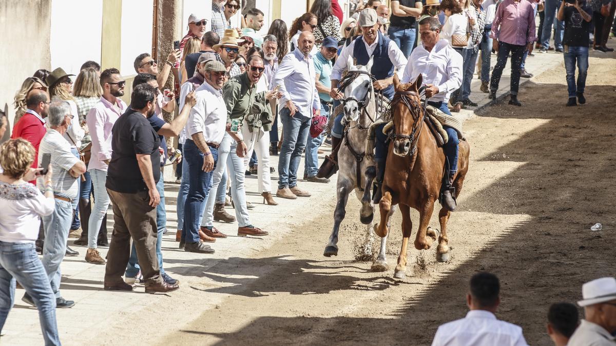 Carrera de los caballos de Arroyo de la Luz.