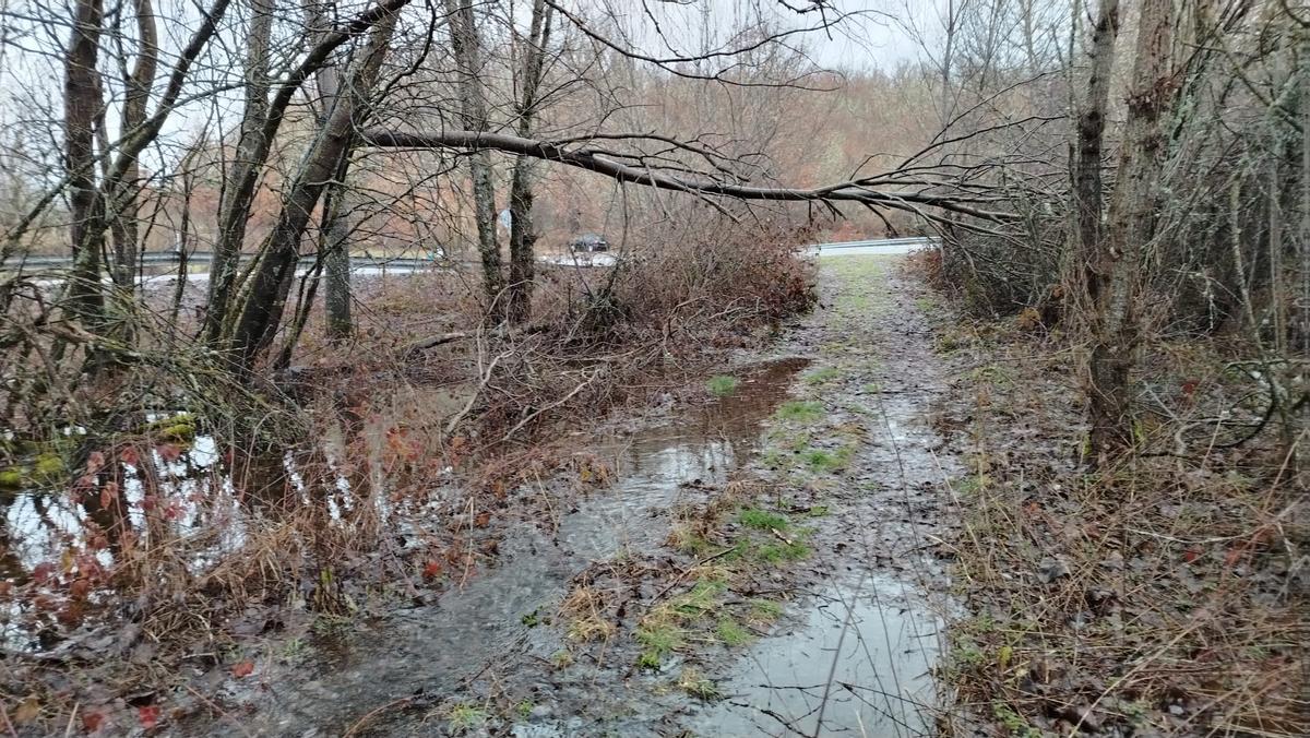 Desbordamientos y cortes de caminos en Sanabria, en imágenes Desbordamientos y cortes de caminos en Sanabria, en imágenes