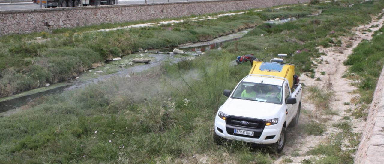 Tareas de fumigación en el cauce del río Vinalopó a su paso por el casco urbano de Novelda para combatir el mosquito tigre.