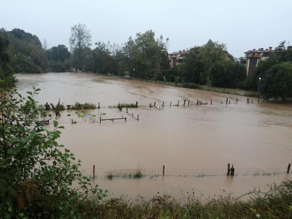 El río Carrocéu, desbordado, a su paso por Pancar.