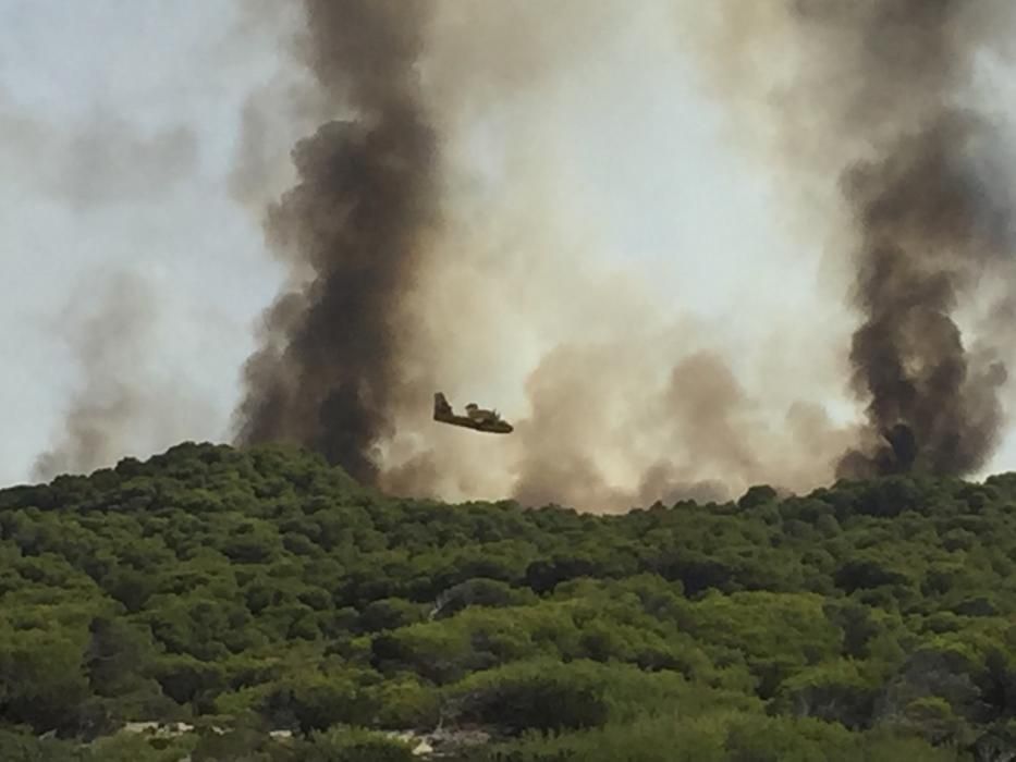 Im Gebiet von sa Canova im Nordosten von Mallorca ist am Mittwochnachmittag (17.8.) erneut ein Waldbrand ausgebrochen, nachdem es nur zwei Tage zuvor bereits gebrannt hatte. Das Feuer war gegen 2 Uhr nachts unter Kontrolle und zerstörte rund 23 Hektar Kiefernwald.