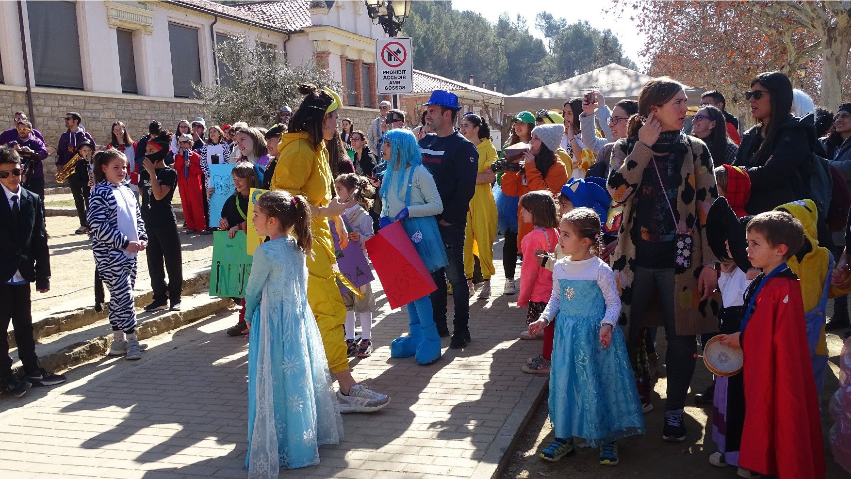 Troba't a les fotos del Carnaval infantil de Sallent