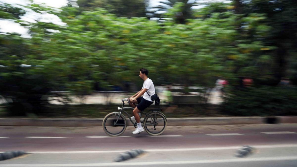 Las tarifas de abono mensual será de diez euros y abono anual de 40.
