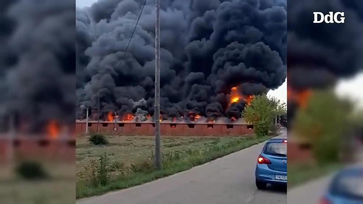 Mueren unos 6.600 cerdos en el incendio de la granja de Cornellà del Terri