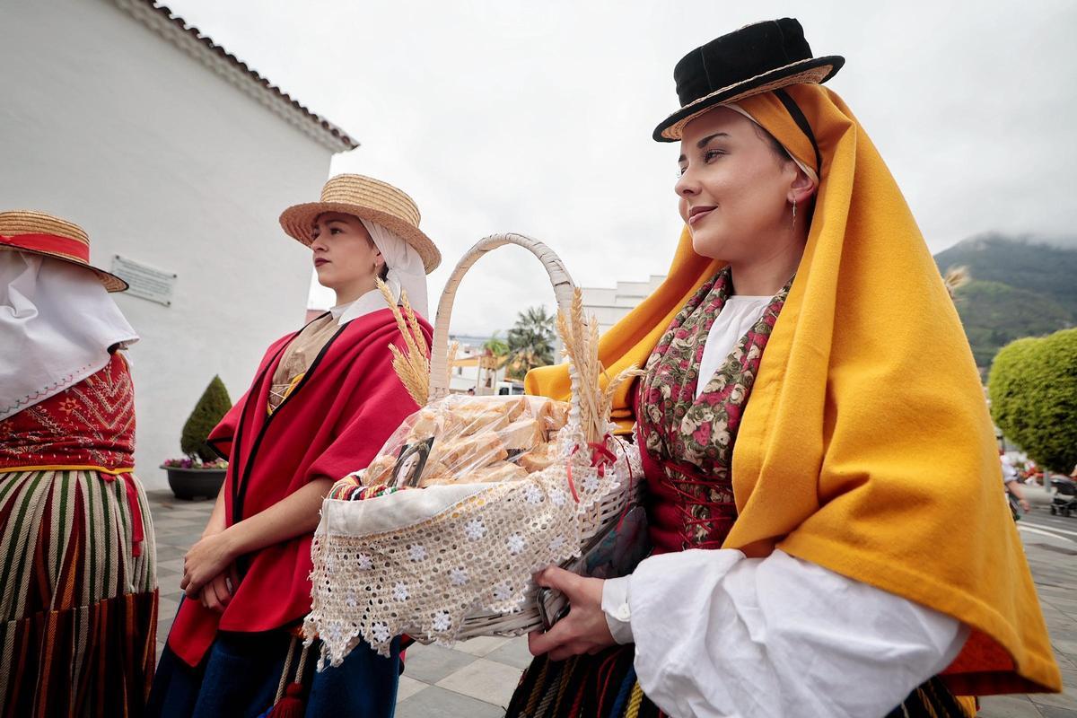 Romería de Los Realejos Romería de Los Realejos