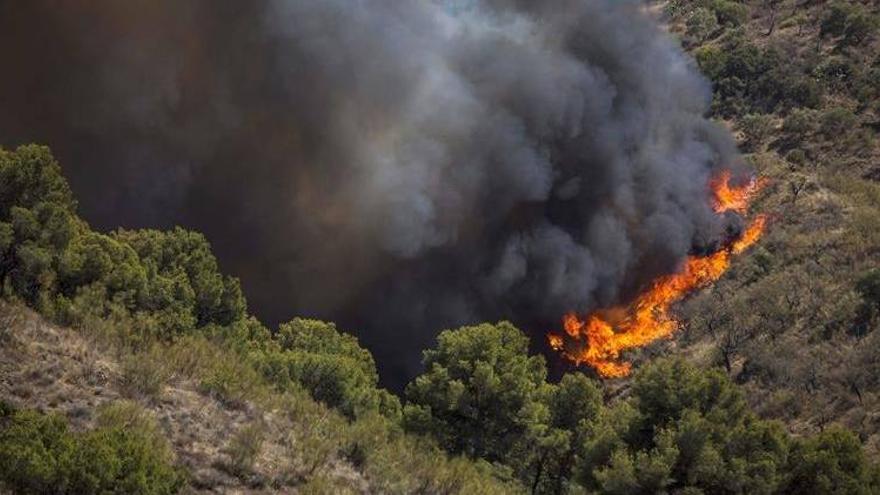 Continúan las labores de extinción del incendio en los Montes de Málaga