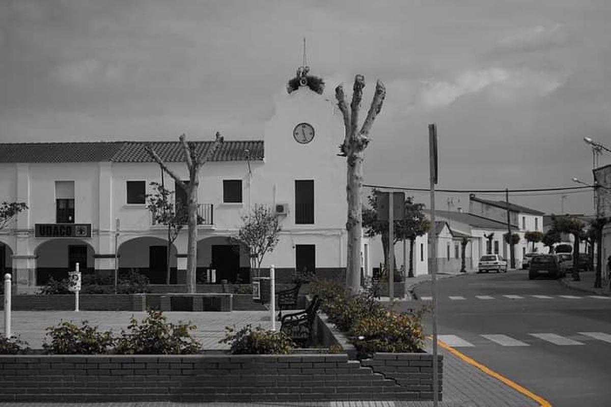 Ayuntamiento de Novelda.