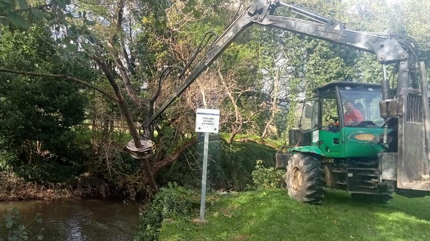 Villaviciosa retira los árboles del cauce del río Linares para evitar inundaciones