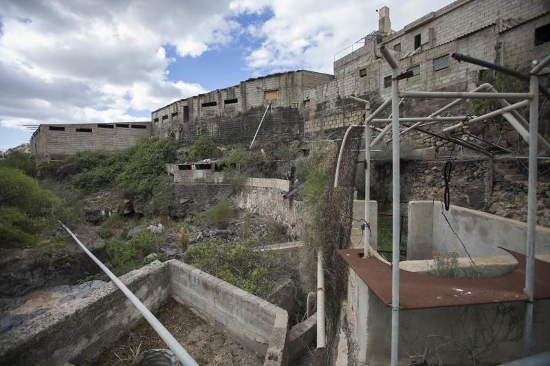 Finca de Arona donde han hallado animales muertos