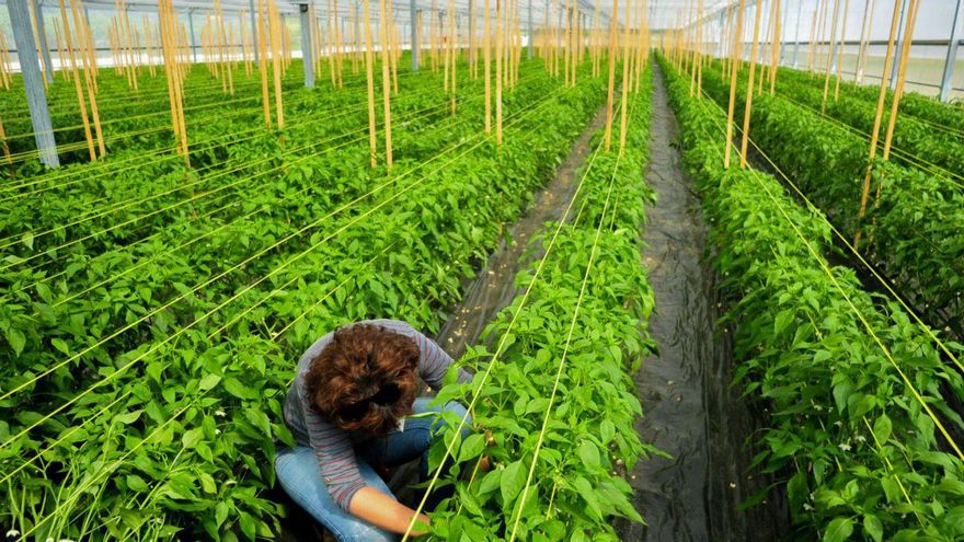 Horsal ronda un crecimiento del 7% a pesar de que «ha sido un verano corto»