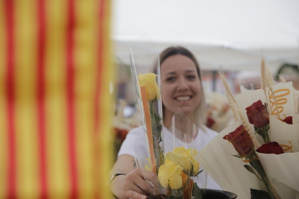 Palma celebra Sant Jordi