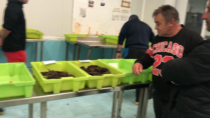 Nécora a 47 € y rodaballo a 62 a horas de la Nochebuena: «El perejil, gratis»