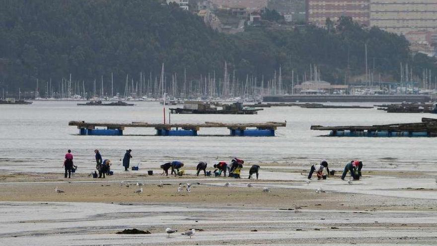 Las mariscadoras de Moaña, faenando mientras se recogieron las muestras. // Gonzalo Núñez