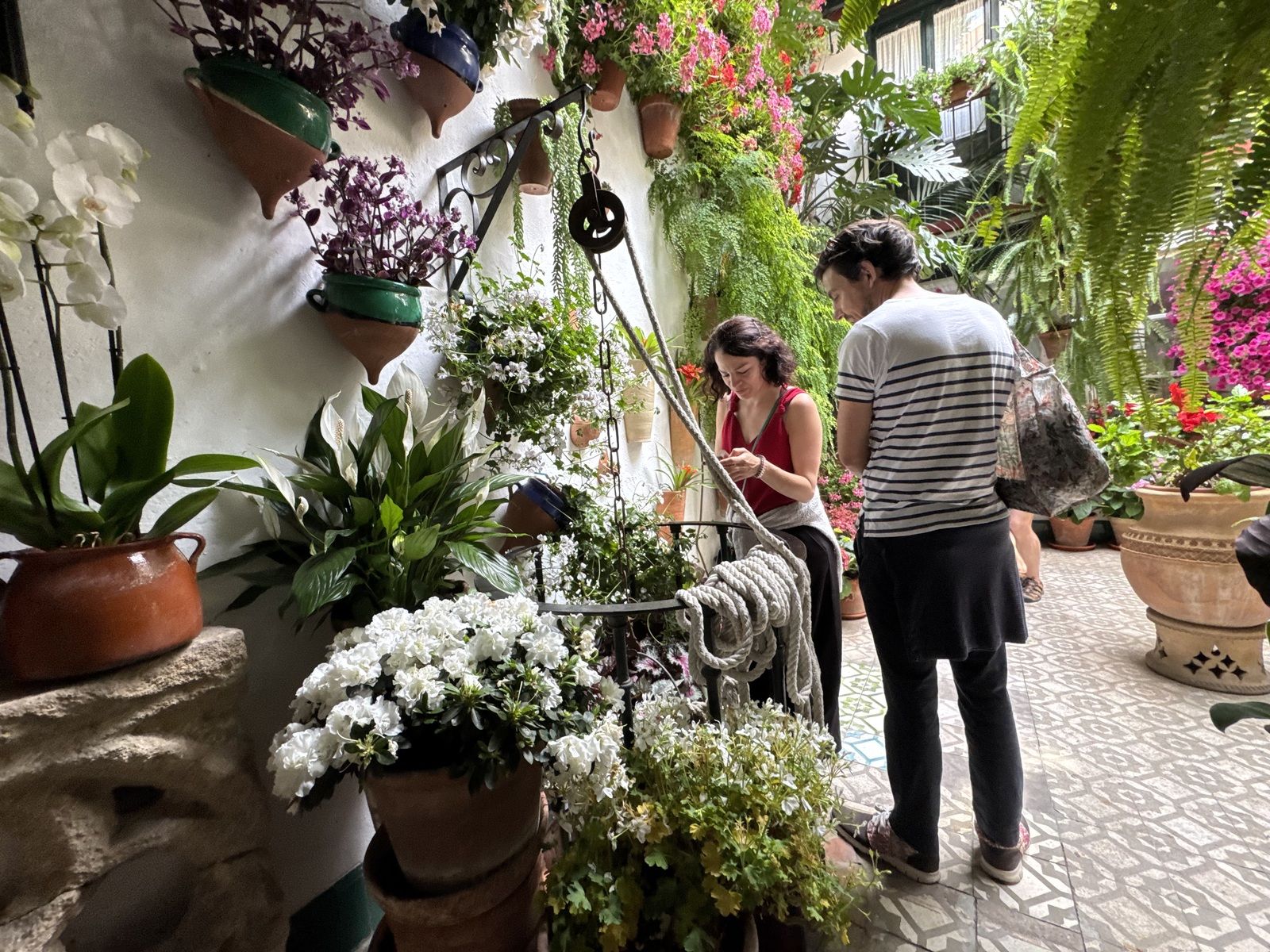 La Ruta 4 de los Patios de Córdoba, en imágenes