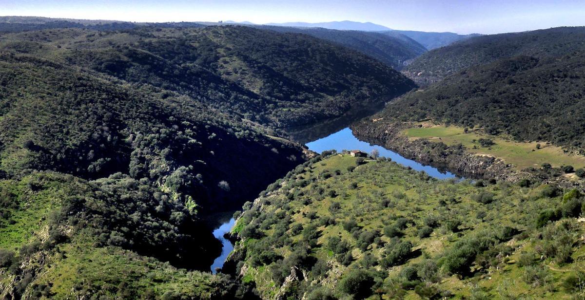 Tajo-Tejo Internacional