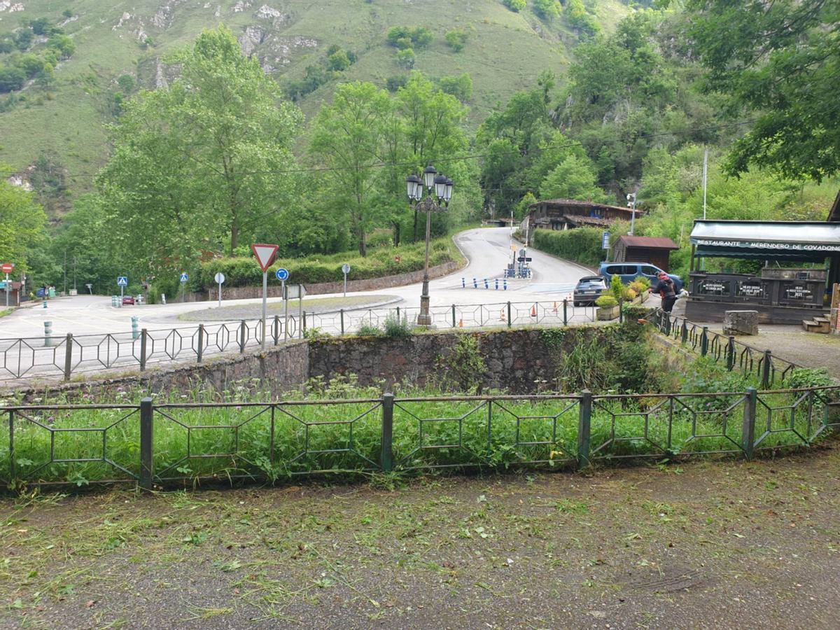 Zona en mal estado en Covadonga.