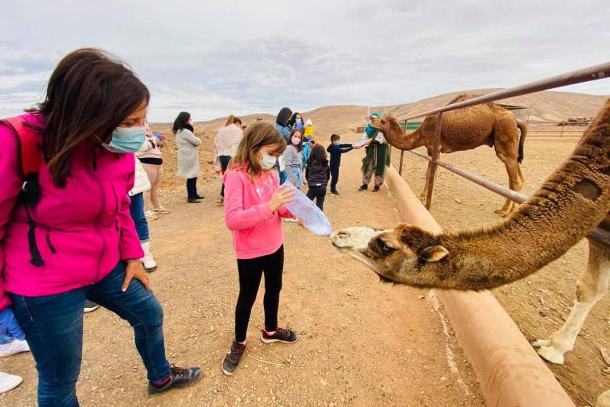 Una niña da de beber a un ejemplar del Oasis Wildlife.