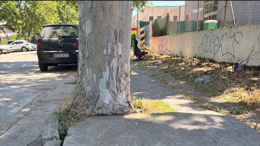 Denuncian el deterioro de los accesos a dos polígonos industriales de Sagunt