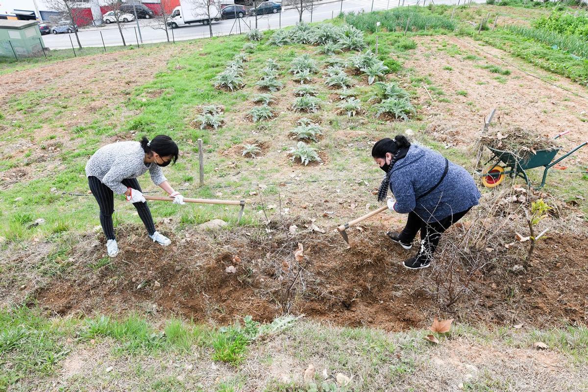 Deu veïnes de Rubí participen en un nou curs d’horticultura als horts de Cova Solera