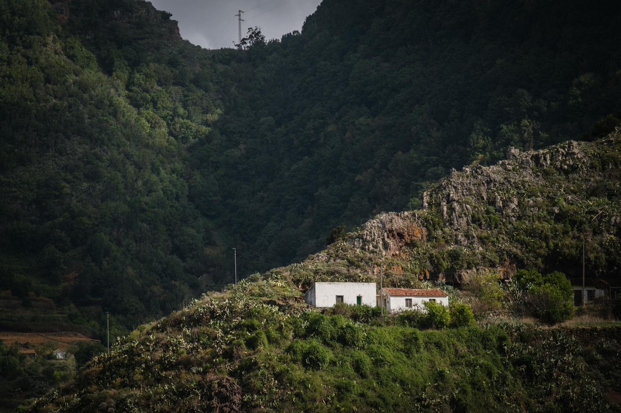 Día del Vecino de La Laguna.