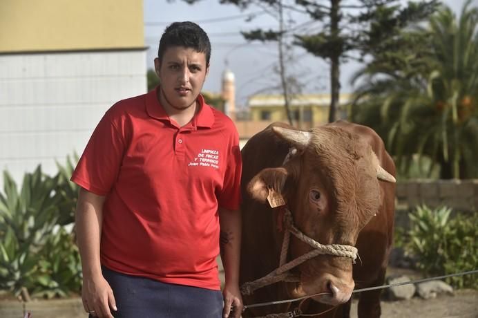 FFERIA GANADO SAN LORENZO 2017