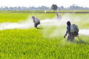 España es el país que más pesticida utiliza en la agricultura