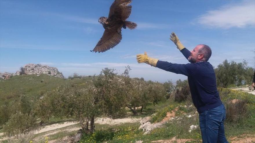 Suelta de aves en el Cerro del Algarrobo de Luque