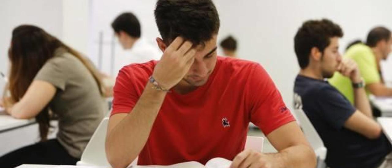 Varios jóvenes estudian en la sala de la nueva Sede Universitaria de la calle San Fernando, que gestiona la UA.