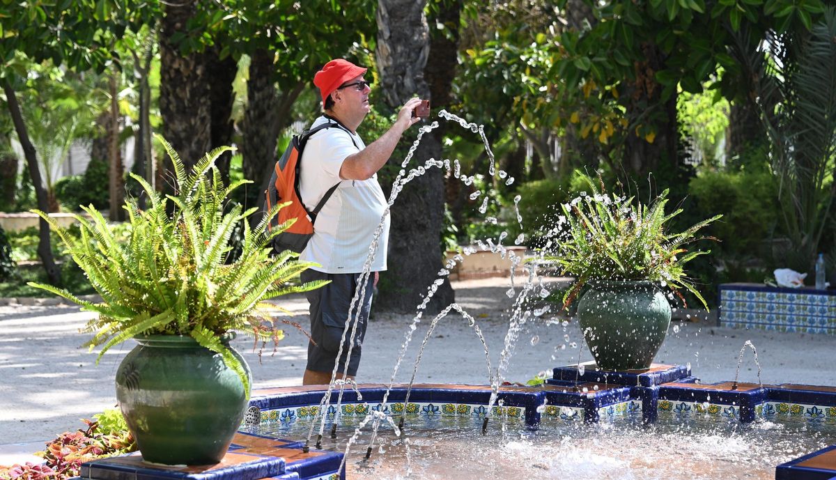 Un turista en el Parque Municipal de Elche