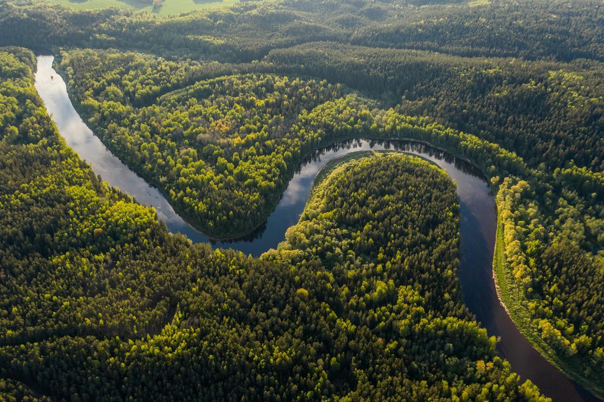El ríom Neris, en el Amazonas.