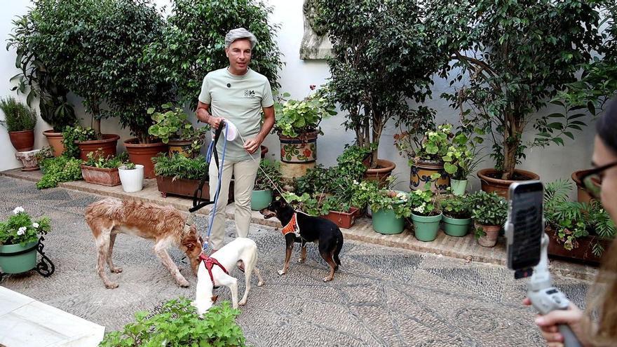 Más del 60% de los perros recogidos por la Diputación en la provincia de Córdoba encuentran una nueva familia