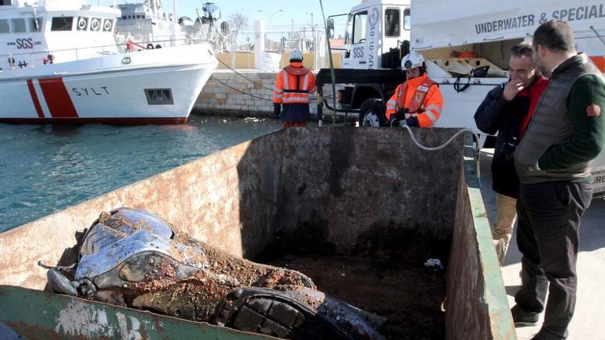 Jornada de limpieza del fondo del Faro de la Curra en Cartagena