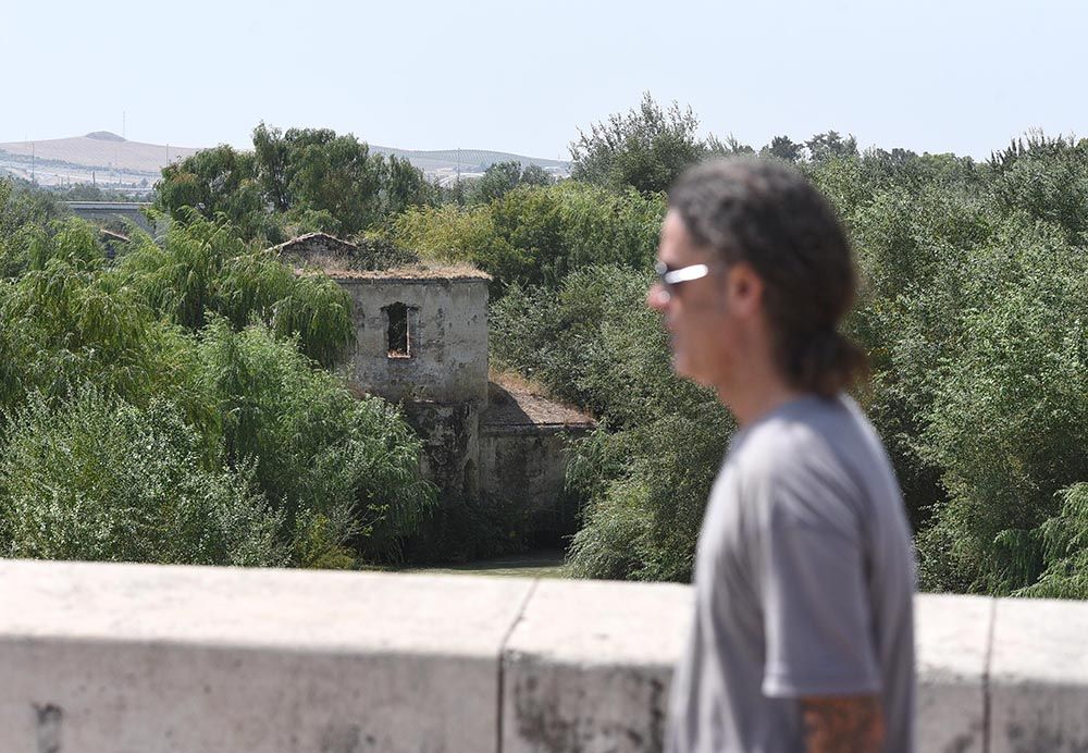 El Guadalquivir, un río frondoso a su paso por Córdoba