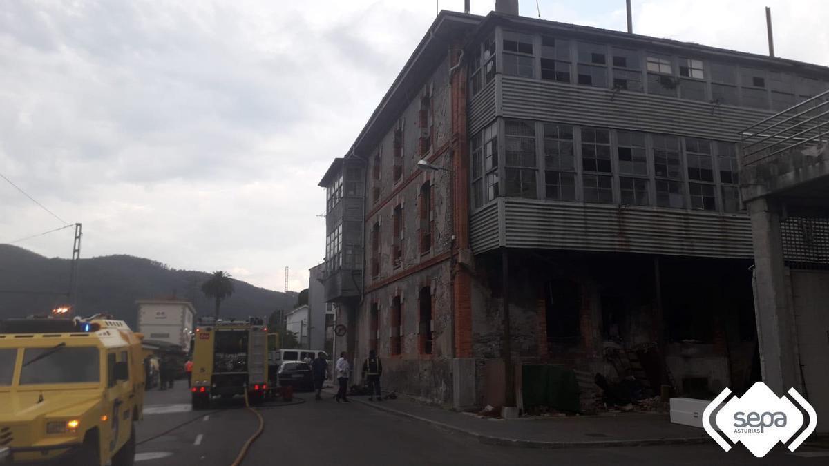 Los Bomberos, durante las labores de extinción