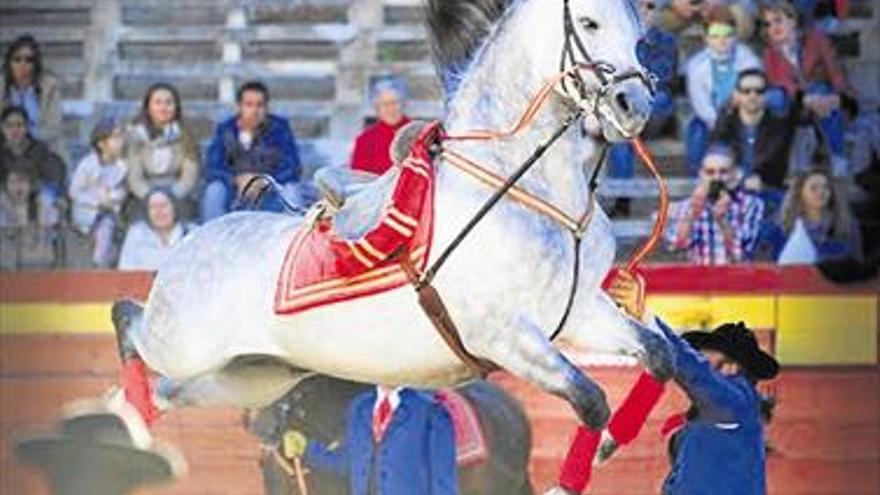 La doma vaquera y clásica, a escena en la plaza de toros de Vinaròs