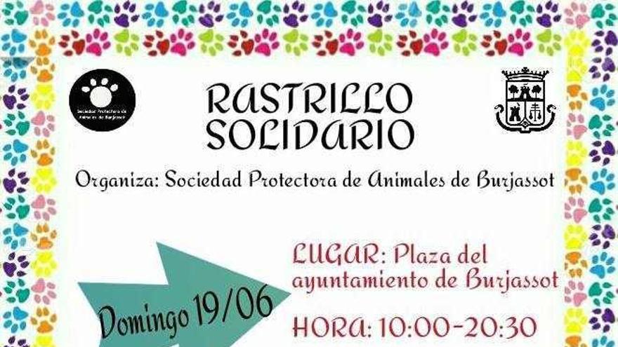 El SPAB realiza un rastrillo solidario para mascotas