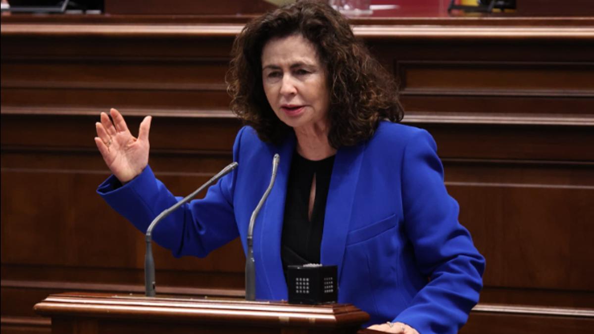 Matilde Asián, ayer durante una intervención en el Parlamento de Canarias.