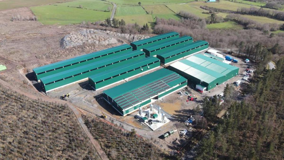 Instalaciones de Bioflytech en Palas de Rei.