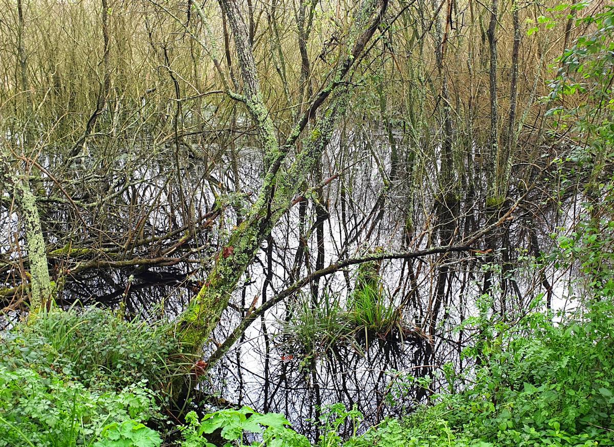 Foto de archivo de la senda del Lagares