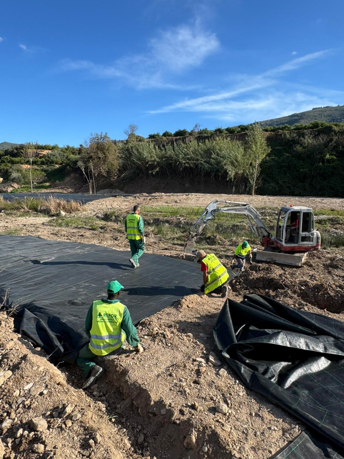 Actuación de eliminación de cañas en Vallada.