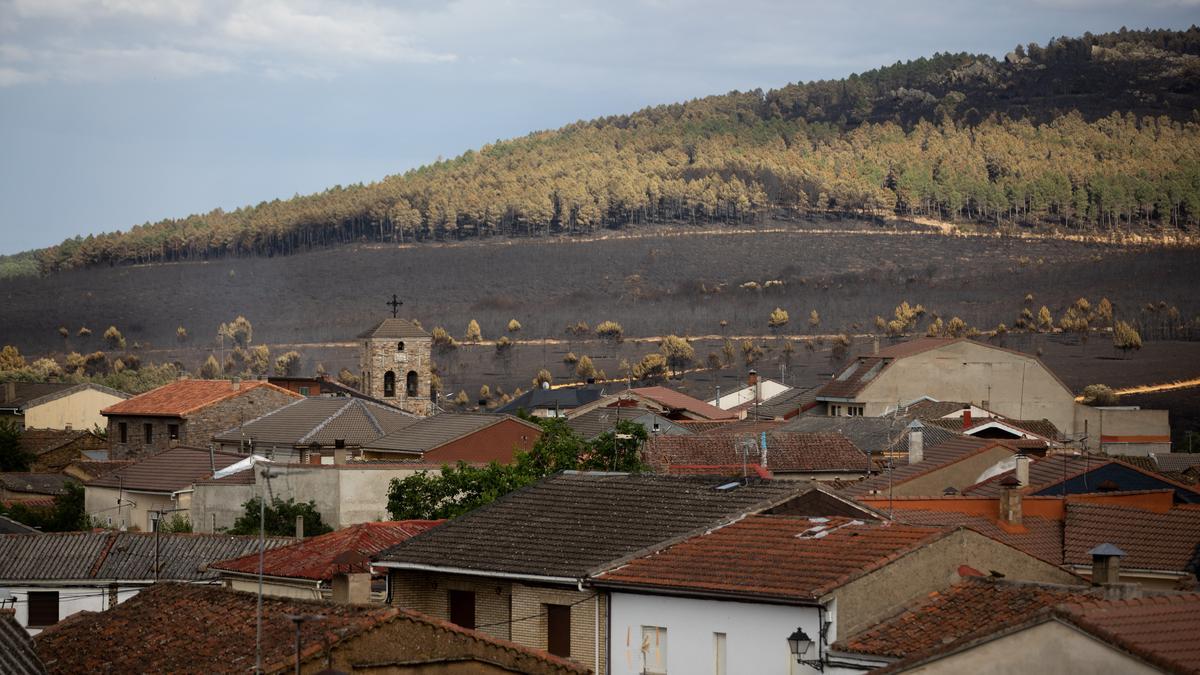 Zona quemada de la Sierra de la Culebra vista desde Ferreras de Abajo