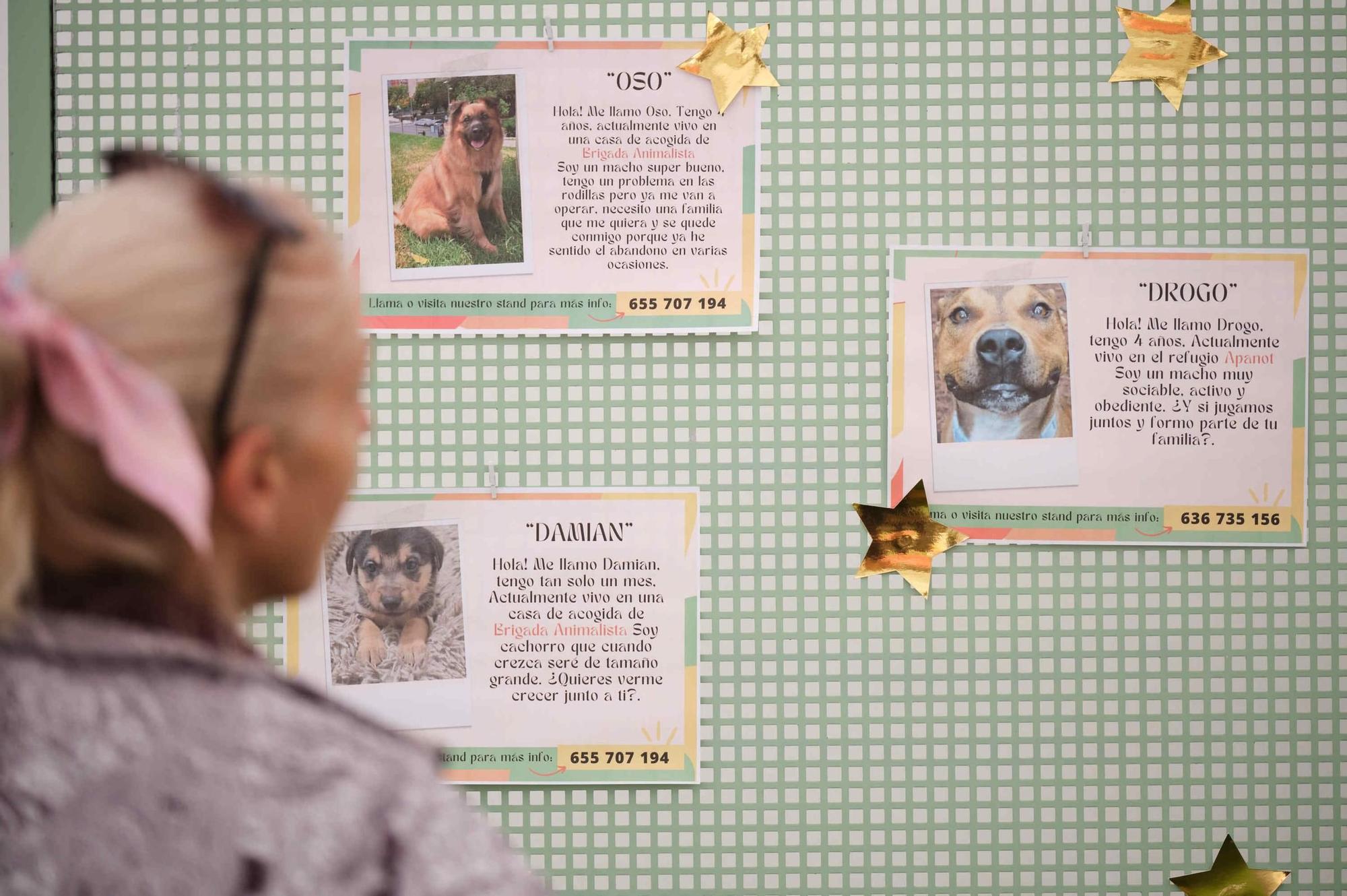 Feria de la Adopción de Mascotas de La Laguna