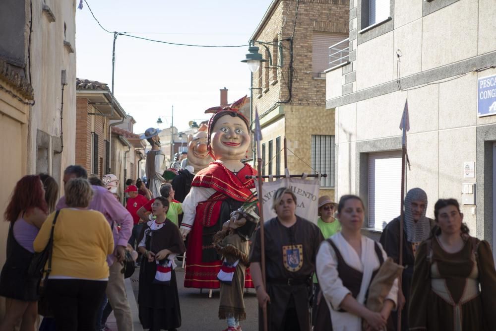 El II Encuentro de Gigantes y Cabezudos de Villaralbo, en imágenes