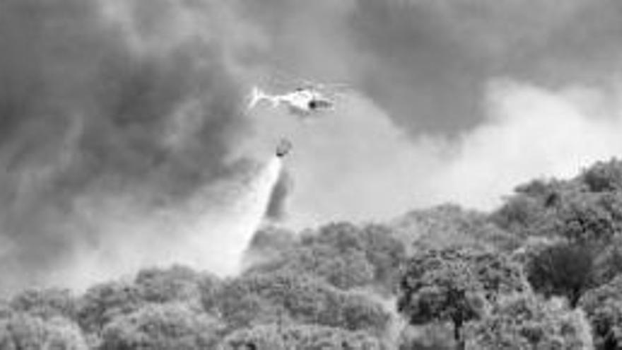 Un aparatoso incendio arrasa unas 60 hectáreas en la zona de Montebola