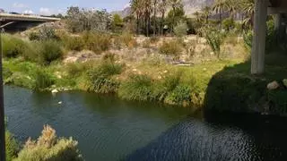 Y debajo del "mar de cañas" había un río, el Girona