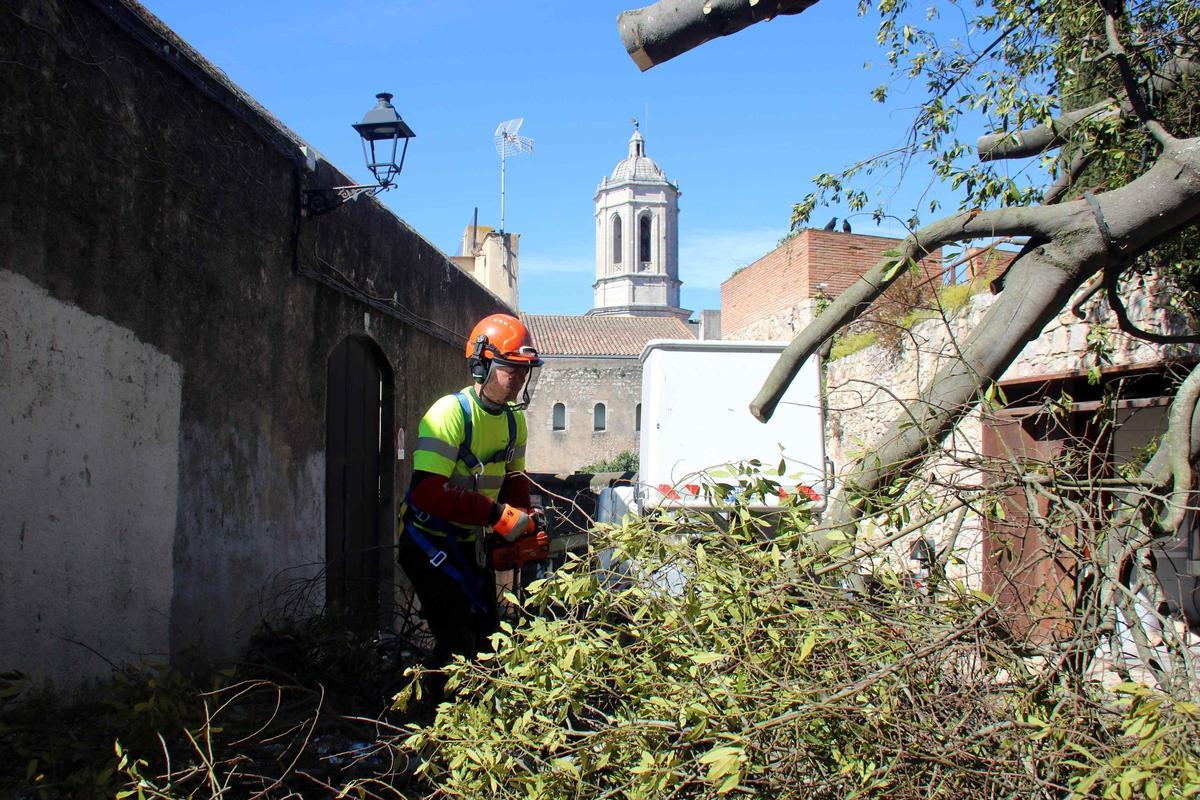 Les imatges del danys per les ventades a la ciutat de Girona Les imatges del danys per les ventades a la ciutat de Girona