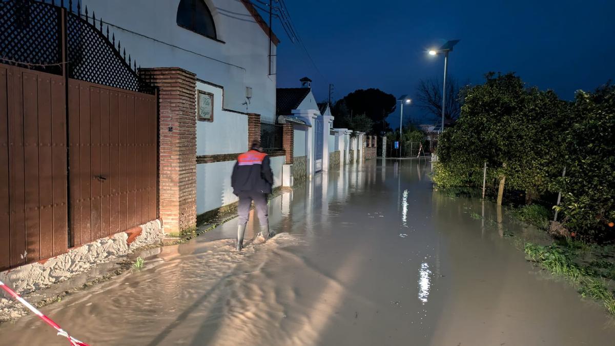 Un miembro de Protección Civil de Palma del Río vigila este jueves la subida del Genil en Pedro Díaz.